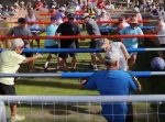 遊びの逆輸入！？　人形になりきる『人間テーブルサッカー』が面白そう！