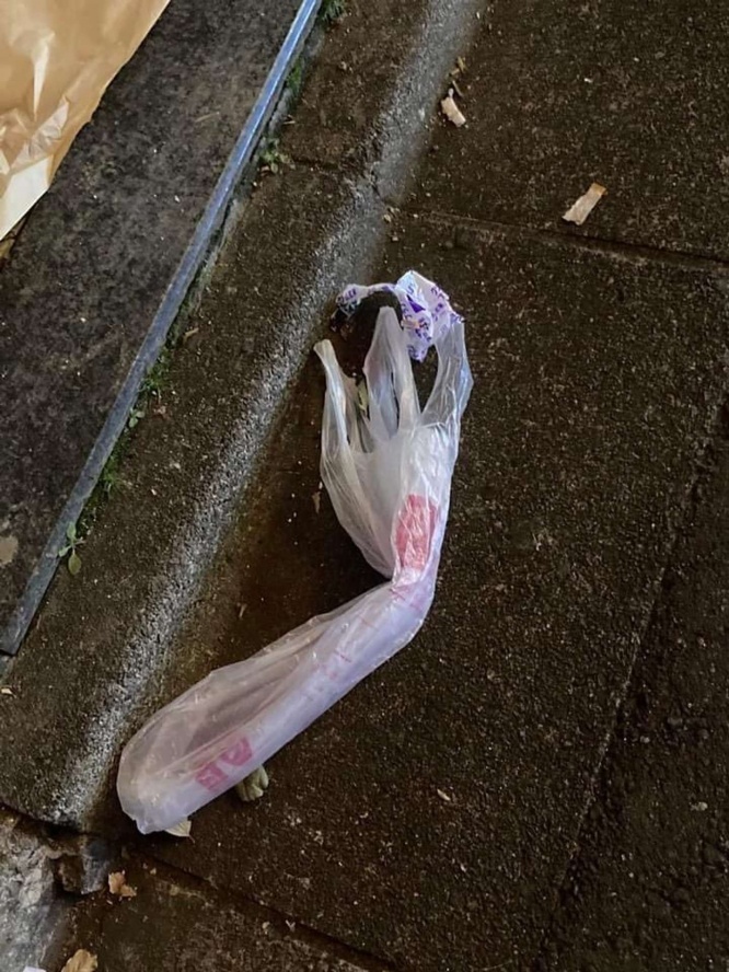 ビニール袋だった(画像は投稿者提供)