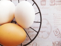 赤卵と白卵の栄養価は変わらなかった！知らないと損する卵トリビア