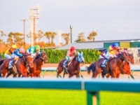 意外!?　彼氏に競馬デートに誘われるのは「あり」な女性⇒42％
