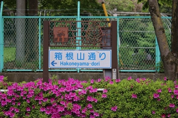 通りの名前にもなっている