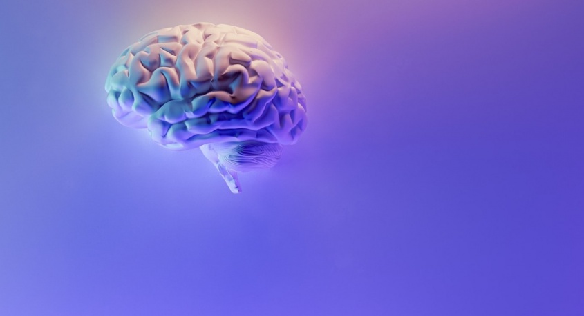 Dream Art Laboratoryのプレスリリース画像