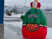 「王様なのに働き者」「このゆるさ、たまらん」　富山県入善町「ジャンボ～ル三世」の人気に火が付いた！？