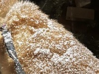 「美味しそ...」「甘そうですね！」　秋田犬の〝食べたい背中〟に4万人のお腹ぺこぺこ