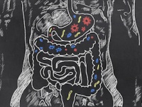腸内環境から健康状態を科学的に評価するシステムを開発（shutterstock.com）