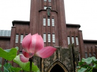 画像はイメージ（y kawaharaさん撮影。flickrより）