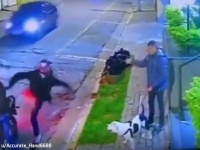 バイク強盗に襲われそうになっている飼い主を身を挺して守った犬