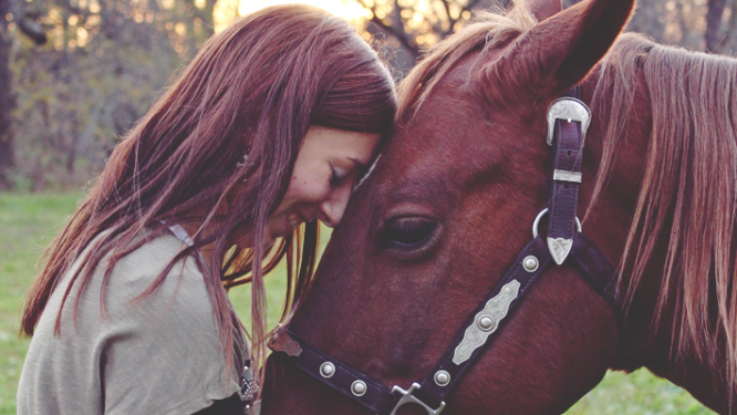 意外と当たってる！動物占いの診断方法まとめ