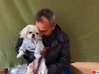 トルコ地震で家を失った家族が避難中、瓦礫の下から犬を救出。特別な絆で結ばれ家族の一員に