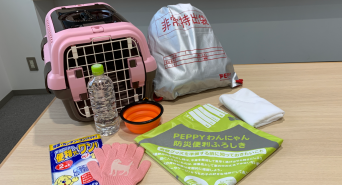 新日本カレンダー株式会社のプレスリリース画像