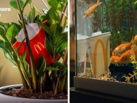 マクドナルド（マルタ）のポイ捨て防止キャンペーンポスターが刺さると話題に