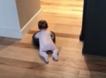 【可愛いすぎ】お掃除ロボット「ルンバ」に赤ちゃんが乗っかると・・・・。