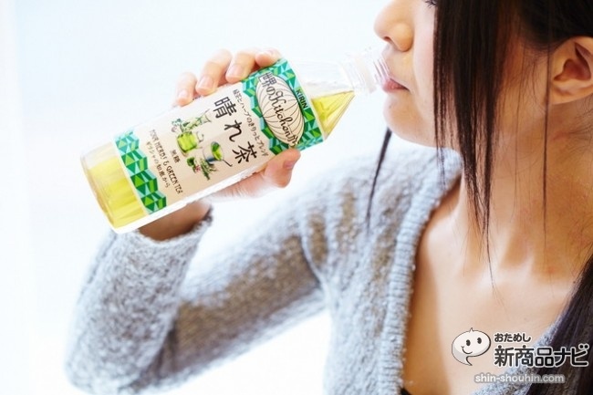 晴れ茶61478