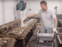 ヨーロッパのカタツムリ農場を社会科見学　※カタツムリ大量出演中＆つぶつぶあり