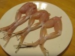 天然マジックかよ、カエルの生足に塩をふると⇒　ギャー！