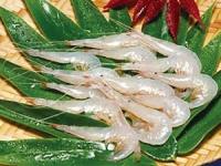 株式会社レンタスのプレスリリース画像