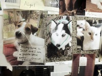 「犯人はこの子です」ピースを破損した動物たちの顔写真が壁一面に貼られたジグソーパズル会社