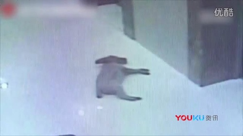 エレベーターに首吊り