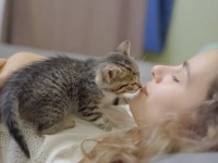 何でもアタックしたいお年頃？車の下で保護された子猫、世界のすべてに興味津々
