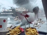 ホラー映画かな？カモメ集団、車内のポテトを奪おうと執拗にガラス越しから攻撃