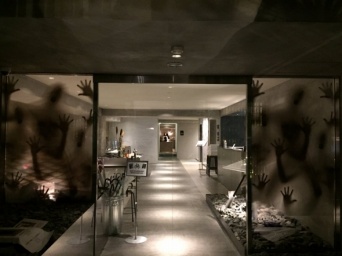 ツイッター投稿の写真（写真は、せた＠cetacea_kwさん提供）