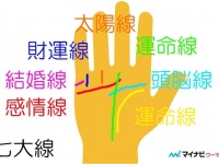 いまさらだけど。手相は右手左手どっちで見るの？
