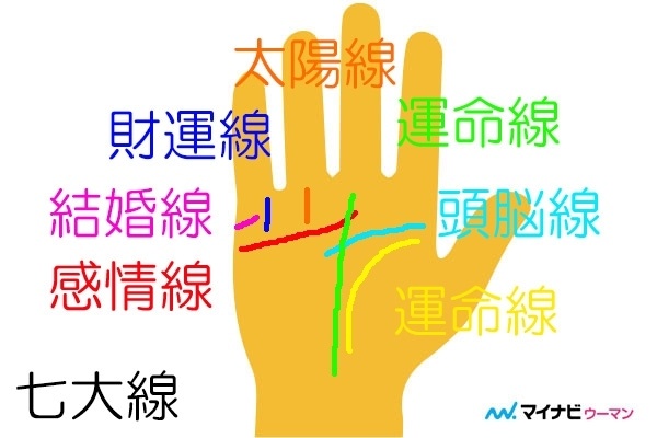 いまさらだけど。手相は右手左手どっちで見るの？