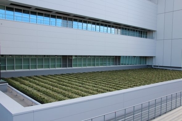 ここに限らず、あちこちに緑化の痕跡が