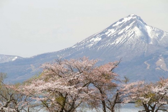 磐梯山と、ふもとに広がる猪苗代湖（画像はフリー）