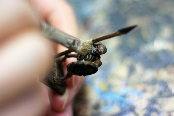 架神恭介と体験するミニチュアゲーム『ウォーハンマー』塗装編28