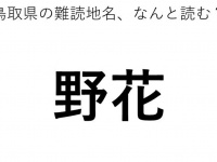 ヒント：の○○う