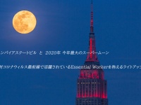 植山　慎太郎のプレスリリース画像