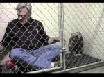 保護されて怯える犬と、一緒に食事をするドクターが話題に【動画】