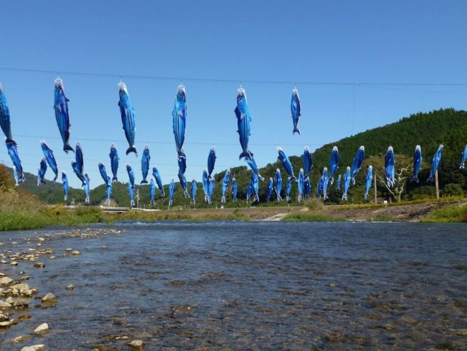 黒潮町はカツオの水揚げ全国一の常連!(画像は黒潮町役場提供)
