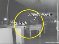 おわかりいただけただろうか？台所を移動する犬を追う幽霊のような人影