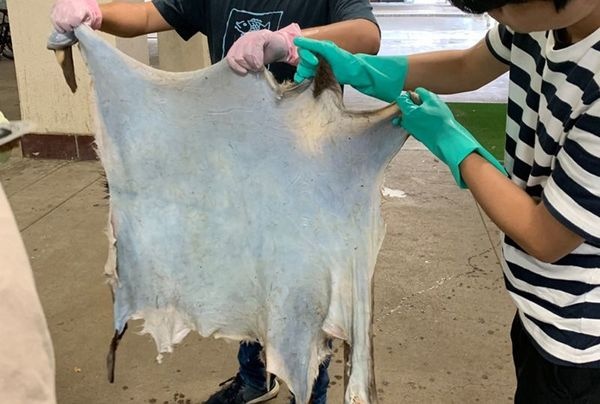 貴重な経験ができるサークル