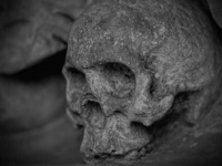 串刺しとなった人骨が大量に発見される。500年前のペルーで何が起きていたのか？