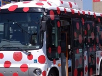 長野には「病気のバス」と呼ばれちゃってる車両があった　デザインに込められたのは「世界平和」への願い