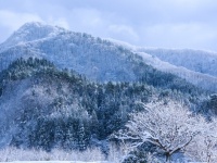 紅葉の次はこれ！ 大学生が雪景色を見に行きたい都道府県ランキング！