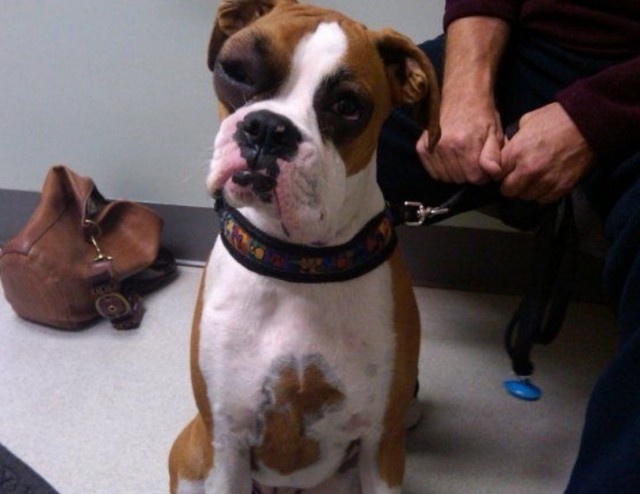 スクリーンショット 2016-04-24 20.00.14