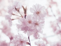 女性が寂しいとき「やってはいけないこと」