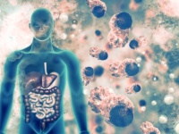 人体の不思議。失っても生きていける7つの臓器