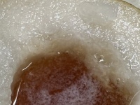 シャクシャクの梨が〝じゅわじゅわデザート〟に変身　秋ならではの「薬膳」がめっちゃウマ