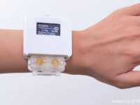 生きた粘菌で動くスマートウォッチ。充電の代わりにお世話をすることで愛着がわく「生体たまごっち」
