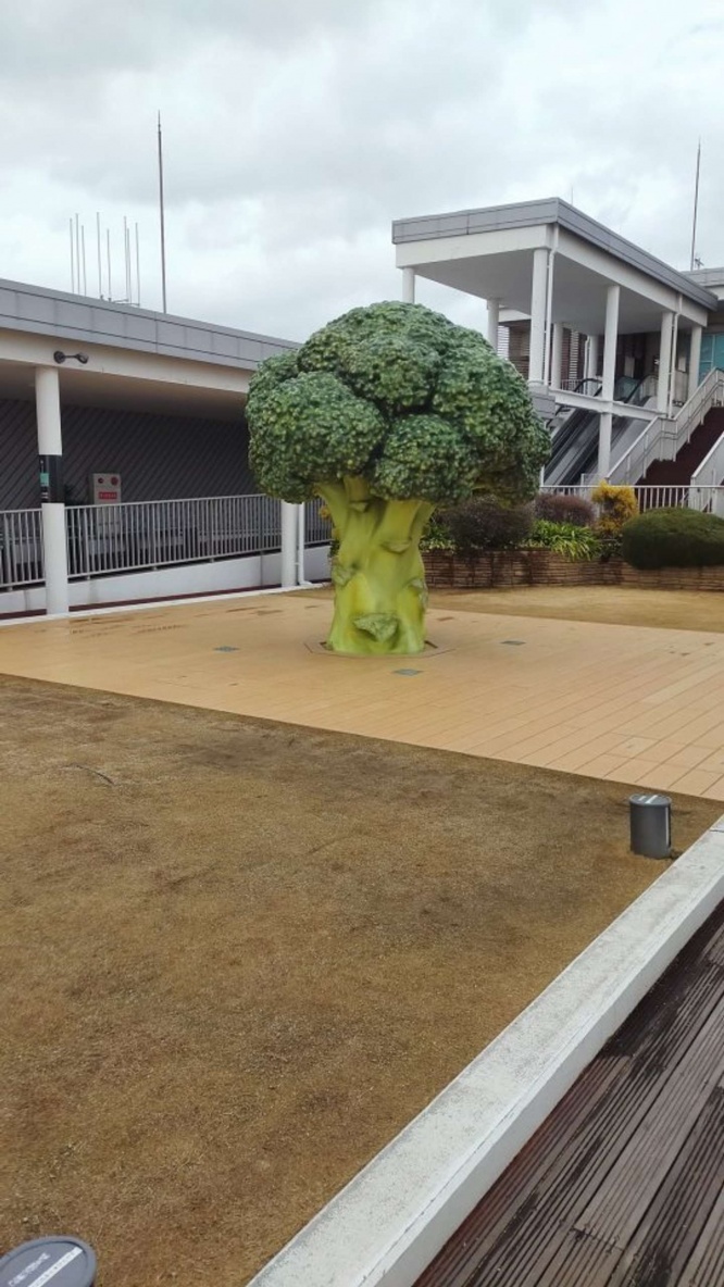 空港にクソデカブロッコリー!?(画像提供:R(@omosiroibasyo)さん、以下同)