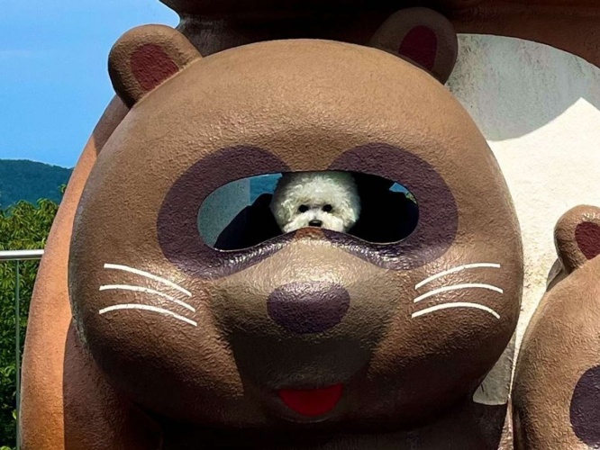 カメラ目線で...（画像提供：せとくん(陰キャ)(＠seto_1022)さん）