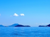 瀬戸内の豊かな海を見るだけでなく食べる（画像はイメージ）
