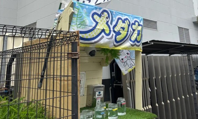 印刷工場の屋上＆食堂で「メダカ」育てて売ってます！　職人たちが交代でお世話...一体なぜ？担当者に聞く