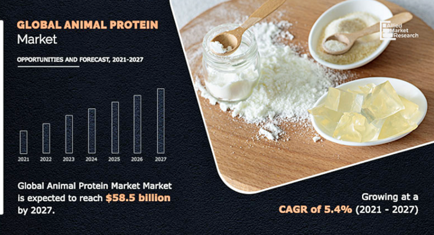株式会社グローバルインフォメーションのプレスリリース画像
