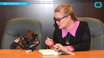キャリー・フィッシャーの愛犬ギャリーは、飼い主亡き後どうなる？